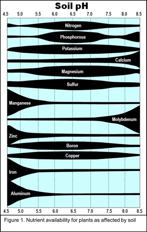 Soil Fertility in Forage Systems – Livestock and Forages