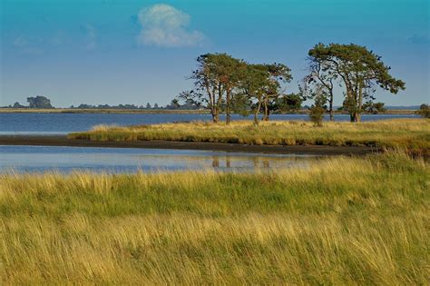 Image result for Native Reserve