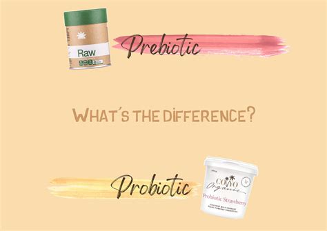 The Difference Between Prebiotics & Probiotics