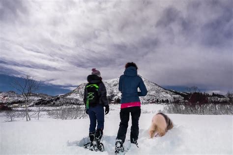 Svolvær snowshoes walk by night 2022 - Svolvaer - Viator
