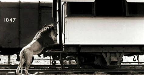 A Railway Line In Kenya Is So 'Lunatic', It Took Lives Of 2500 Indians ...