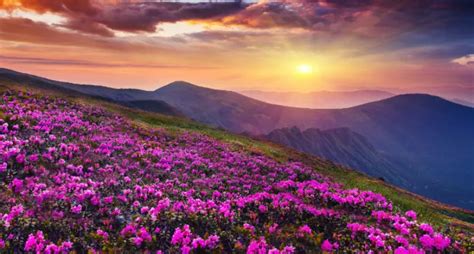 5 Most Photogenic UNESCO World Heritage Sites in India to Visit in ...