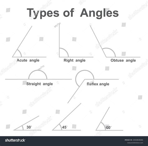 Image result for Types of Angles Drawing