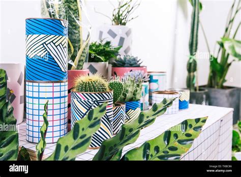 Image result for Creative Flower Pots