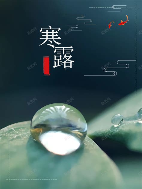 寒露二十四节气深绿色清新水滴海报背景ps模板免费下载-图片7JJVkUegW-新图网