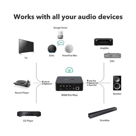 WiiM Pro Plus Music Streamer — ProHiFi India