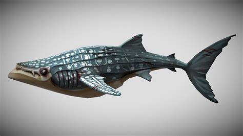 HSW Whale Shark (ENEMY) - Download Free 3D model by AllThingsSaurus ...