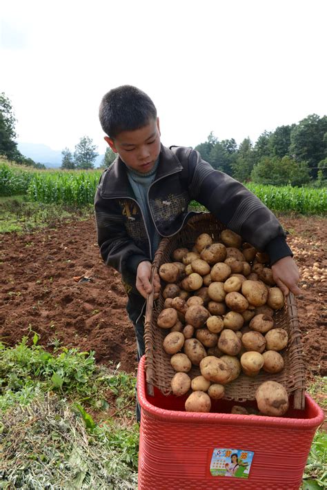 1200余名山区孩子游学省城 三星为孩子点燃梦想|三星希望小学|云南昭通_新浪新闻