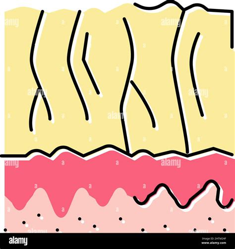 Ageing Signs Texture 的图像结果