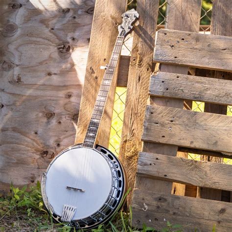 Image result for Banjo Tuning