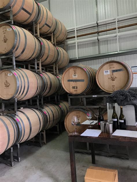 Wine Making Process 的图像结果