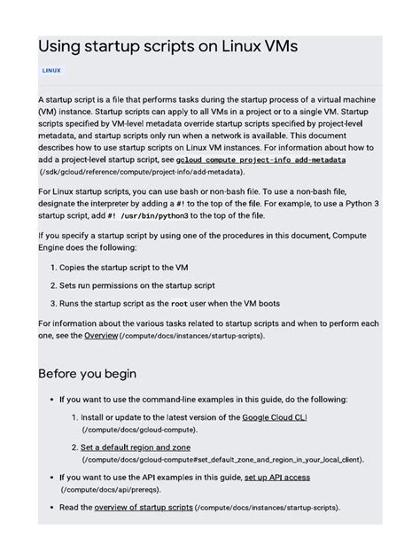 Startup Script 的图像结果