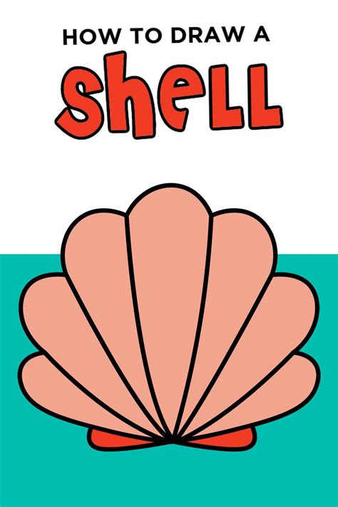 Image result for Shell Drawing Sheet