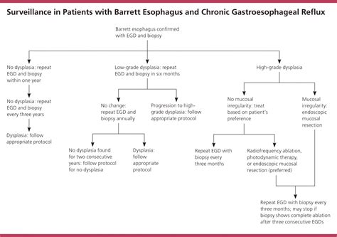 Barretts Esophagus Dysplasia