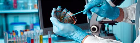 Swan International - Food Stuff Manufacturer and Exporter