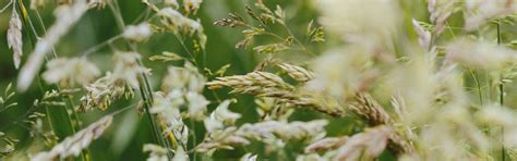 Portfolio Company Profile | AgBiTech - Paine Schwartz Partners