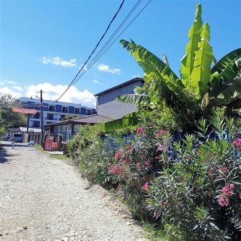 MINI HOTEL DIVA (Alakhadzi) - Inn Reviews & Photos - Tripadvisor