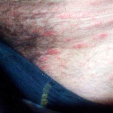 Domina el Inglés: Enseñanza Integral | CEI