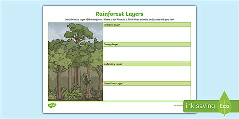 Rainforest Layers Describing Activity (teacher made)