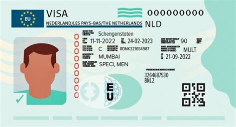 Image result for Code Visa