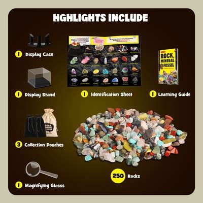Piano Potato 250+ Rocks Minerals & Fossils Collection Kit, Real India ...