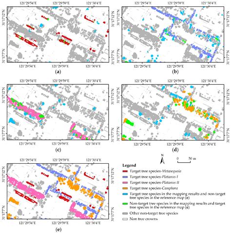 A Tree Species Mapping Method from UAV Images over Urban Area Using ...