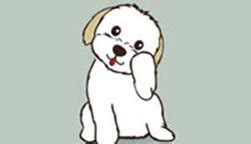 Ad Film Makers agency | Corporate Film Makers in Mumbai | Film ...