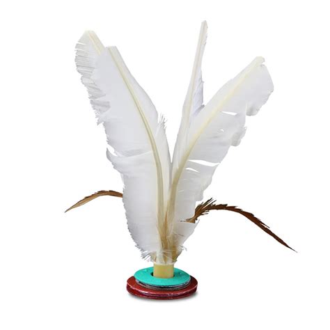 Chinese ShuttleCock 的图像结果