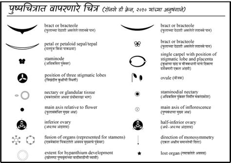 पुष्पसंरचना : पुष्पसूत्र व पुष्पचित्र (Floral Structure : Floral ...