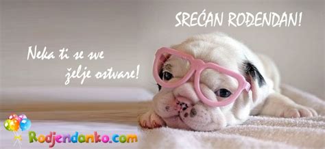 Čestitke sa ljubimcima | Rodjendanske čestitke | Zanimljivosti ...