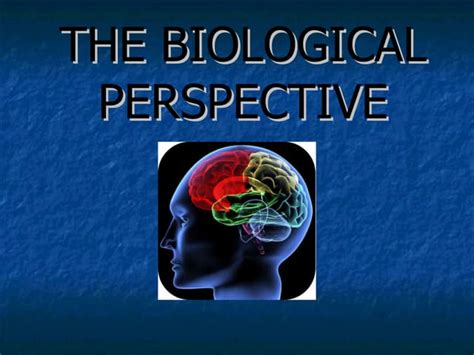 Biological Perspective Examples 的图像结果