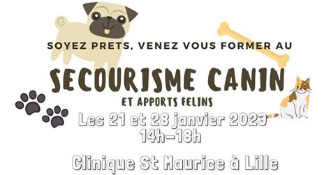 Secourisme canin (et apports félins) - partie 1, Clinique vétérinaire ...