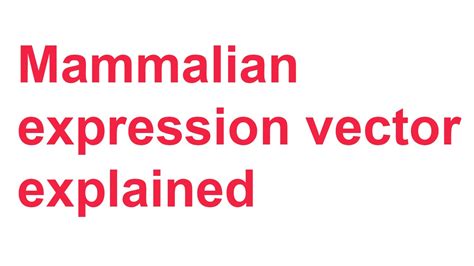 Image result for Mammalian Expression Vector