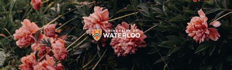 Image result for Waterloo Uni MSC Computer Science