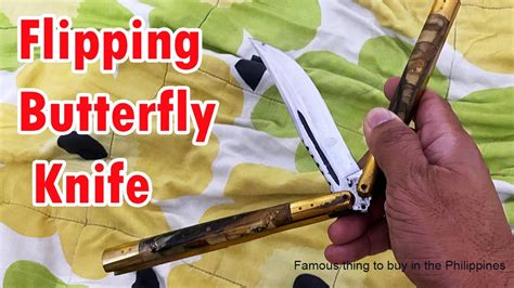 Learning Butterfly Tricks 的图像结果