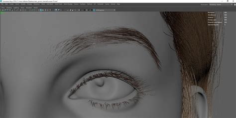 Image result for Simple XGen Hair Tutorial