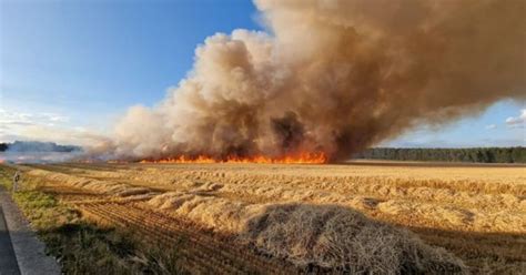 Feuerwehr-Großeinsatz bei Flächenbrand nahe Offenstetten | charivari