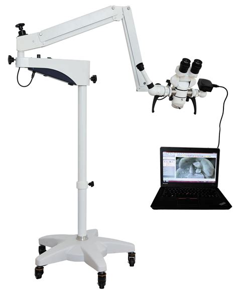 Medical Microscope 的图像结果