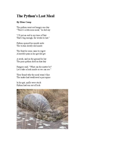 Image result for Python's Meal