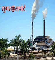 Support Technologies