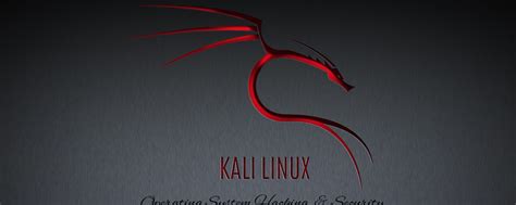Image result for Kali Linux Background HD