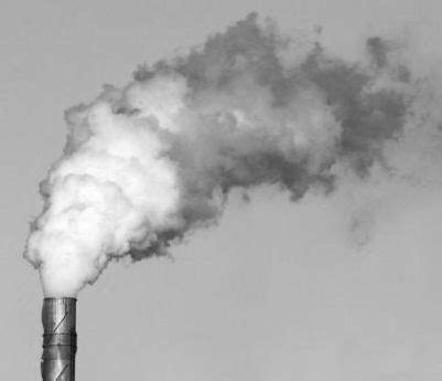 Envi Program 的图像结果