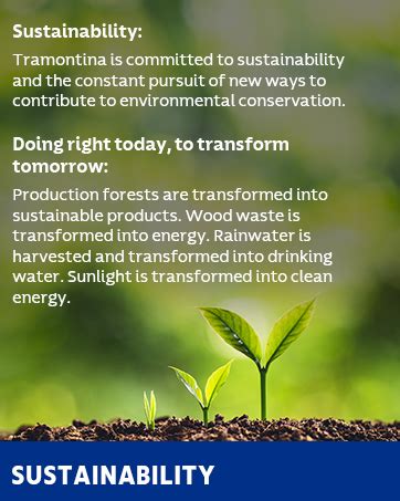 Buy TRAMONTINA Ultracorte 15cm/5.9" Cheese Knife | Three-Hole Stainless ...