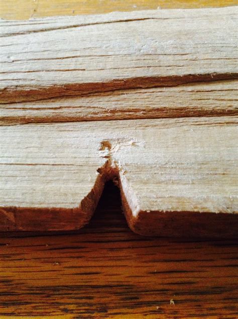 Friction Fire 的图像结果