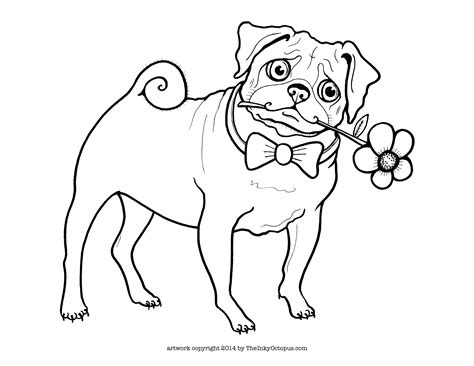 Printable Pug Coloring Pages - Coloring Home