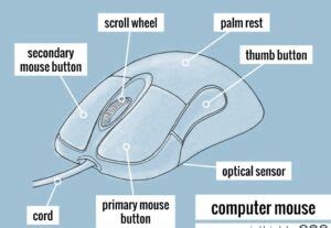 Image result for Computer Mouse Features