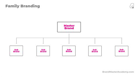 What Is Family Branding? Pros, Cons & 4 Examples