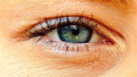 Bildergebnis für blepharitis symptome