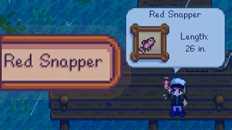 WHERE AND HOW TO CATCH RED SNAPPER Stardew Valley - YouTube