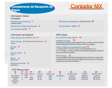 Image result for Complemento De Pago Example